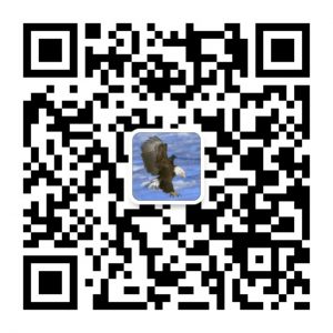 qrcode_for_gh_5ac9e484fae4_1280 (1)